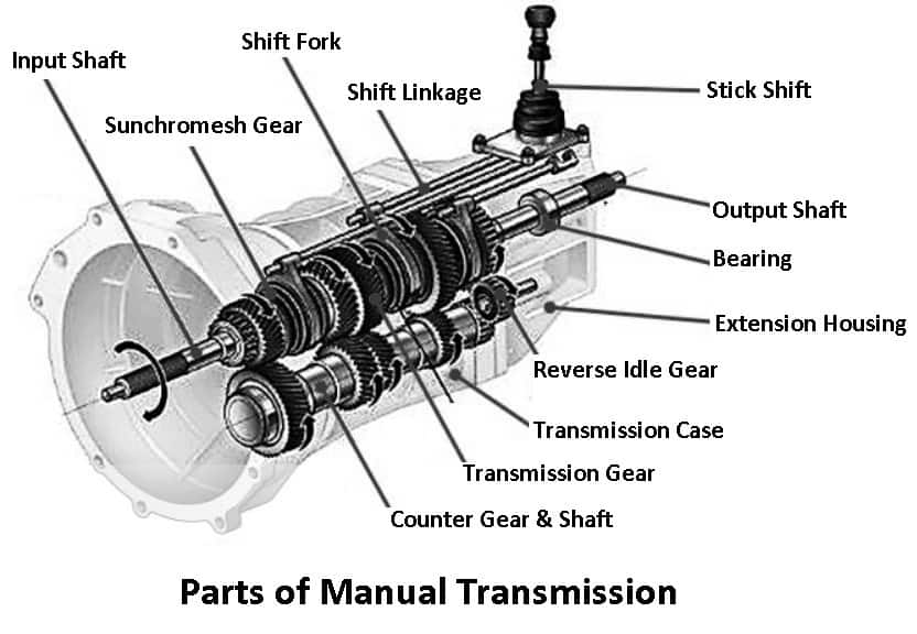 Manual Gearbox - Bigtoyautomotive